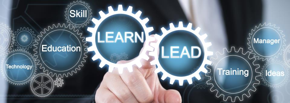 Learn and Lead