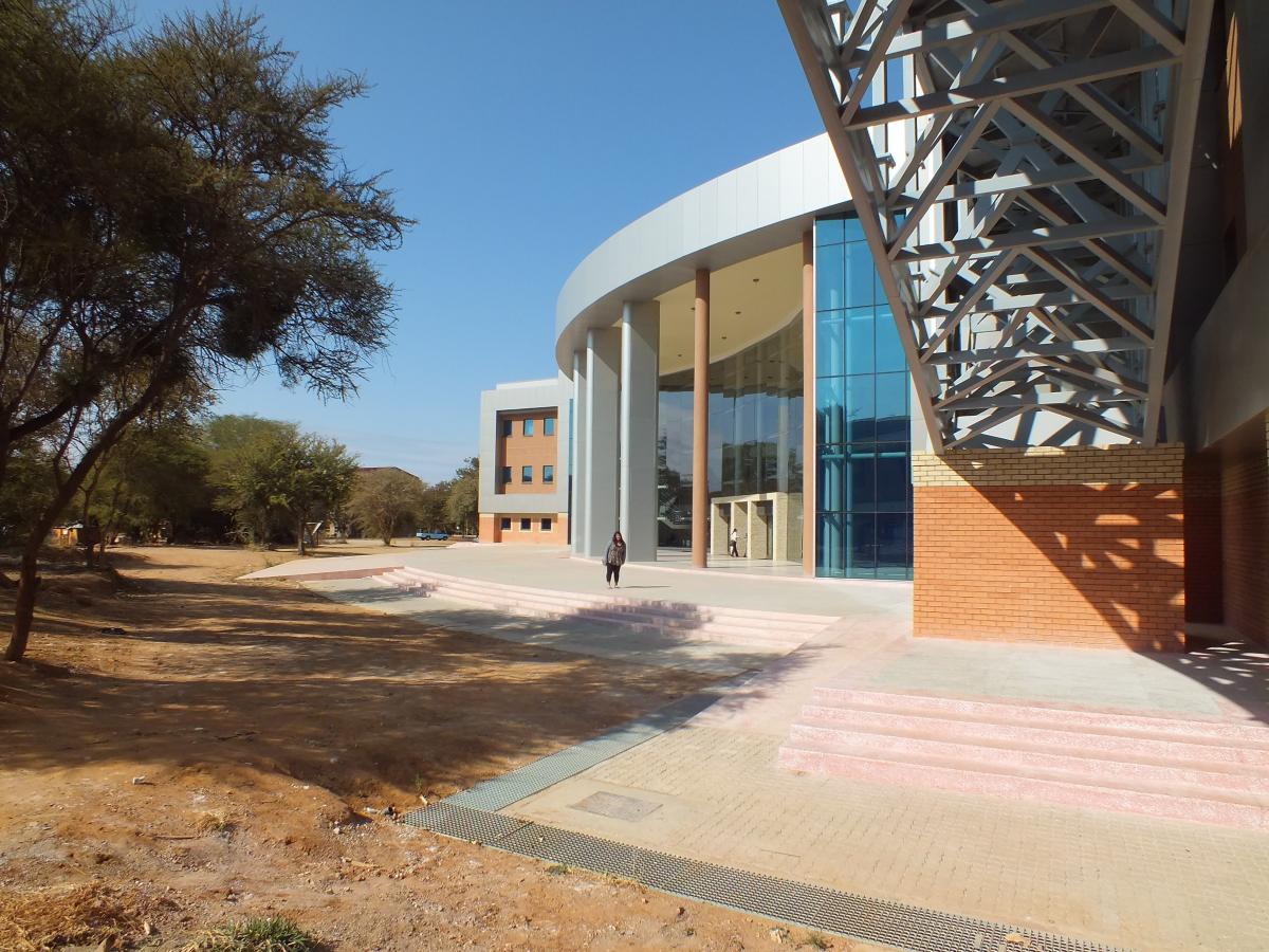 Current Fellows at University of Botswana